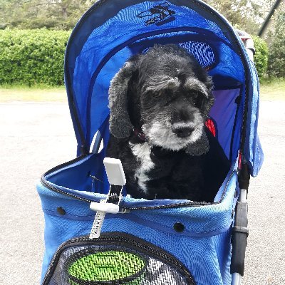 Profile Picture of People Are Bothering Me (@MyaNunya101) on Twitter
