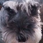 Profile Picture of Laura Knight (@florence_knight69) on Instagram