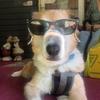 Profile Picture of Larry Medinger (@larrymedinger) on Tiktok
