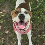 Ralph Gainer II - Facebook Profile Picture of Ralph Gainer II (@ralph.gainerii.16) on Facebook