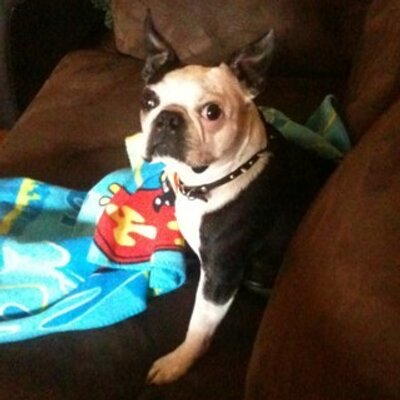 Profile Picture of Chris Peaks (@cupcakepeaks) on Twitter