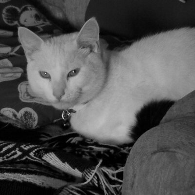 Profile Picture of Traci Marsh (@t_marsh0427) on Twitter