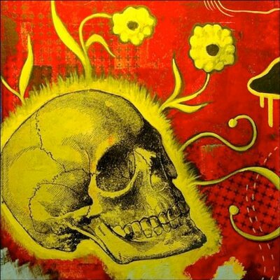 Profile Picture of David Schell (@sugarfreedesign) on Twitter
