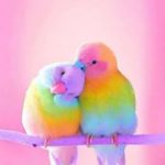 Igniting mind....▪ - Instagram Profile Picture of Igniting mind....▪ (@sandhya.radhakrishnan.560) on Instagram