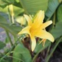 Profile Picture of Erik Lowe  (@erik-lowe-17) on Quora