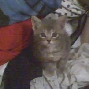 Profile Picture of Janie Henley (@129587295) on Myspace