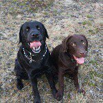 Profile Picture of Miranda van den Brink (@mgierman) on Instagram