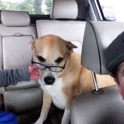 Profile Picture of Peter Mosher (@PeterMosher6) on Twitter