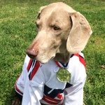 Profile Picture of Alexandra LaFave (@adlafave) on Instagram