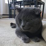 Profile Picture of matt_helfrich95 (@matt_helfrich95) on Instagram