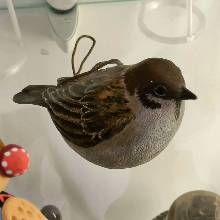 Profile Picture of Demian Kul (@demiankul) on Tiktok