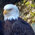 Profile Picture of Josh Feathers (@wjfeathers) on Instagram