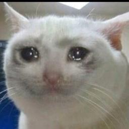 Profile Picture of Sharon Bai (@sharon_bai) on Twitter