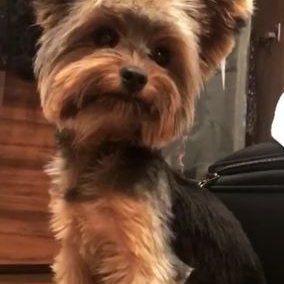 Profile Picture of Kate ♥ PL (@Katezajac16) on Twitter