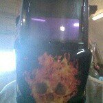 Cody Rose - Instagram Profile Picture of Cody Rose (@codycrose) on Instagram