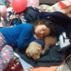 Profile Picture of Nancy Nocera (@NancyNocera2) on Twitter