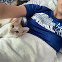 Profile Picture of Avery Wade (@avery-wade-22) on Quora