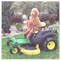 Profile Picture of Marilyn Sue (@marilyn-sue) on Quora