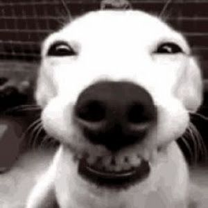 Profile Picture of Byron ore (@byron.ore) on Tiktok