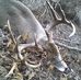 Profile Picture of Joe Ramer (@Joe-Ramer) on Facebook