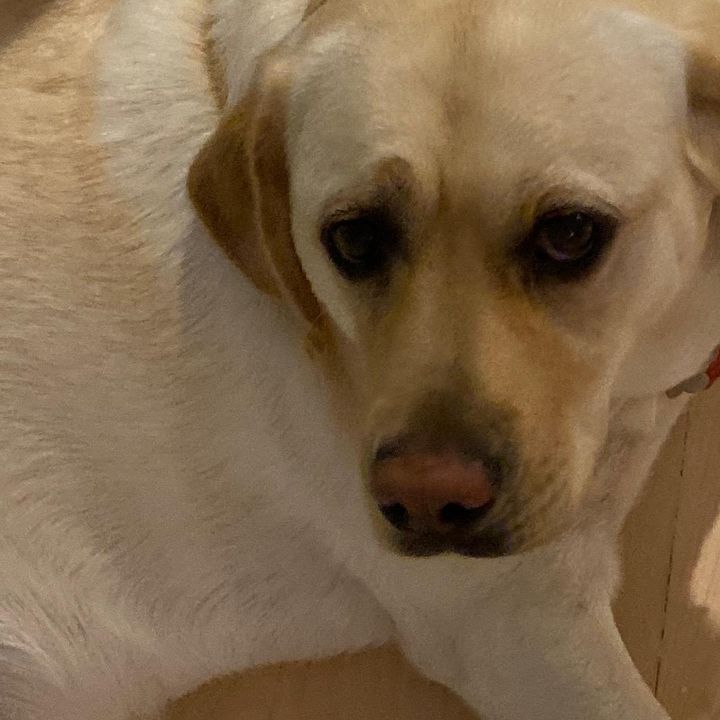 Profile Picture of James Lamphron (@jameslamphron) on Tiktok