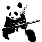 Profile Picture of Doug Sabrowski (@Douglas.Broski) on Facebook