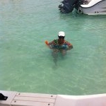 Ivelisse Colon - Instagram Profile Picture of Ivelisse Colon (@colon1708) on Instagram