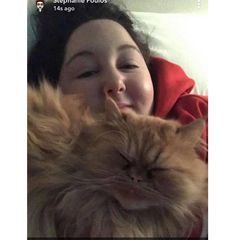 Profile Picture of Stephanie Poulos (@stephaniepoulos0) on Tiktok