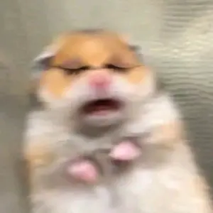 Profile Picture of Ralu➮ 💕🥜 (@waffoscha) on Tiktok