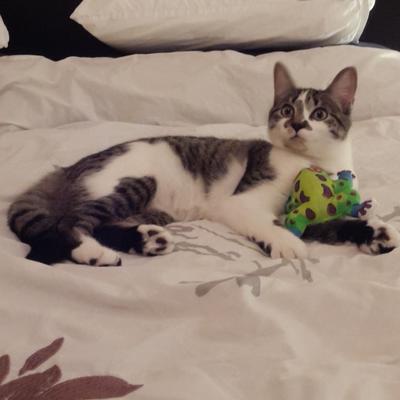 Profile Picture of Trace Coles (@colestrace) on Twitter