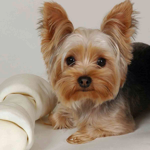 Profile Picture of Andrea Shields (@jennylake) on Poshmark