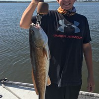 Profile Picture of Mario Genovese (@mario-genovese-1) on Quora