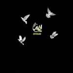 Profile Picture of seyyed.ayoub.ayoubi (@seyed.ayoub.ayoubi) on Instagram