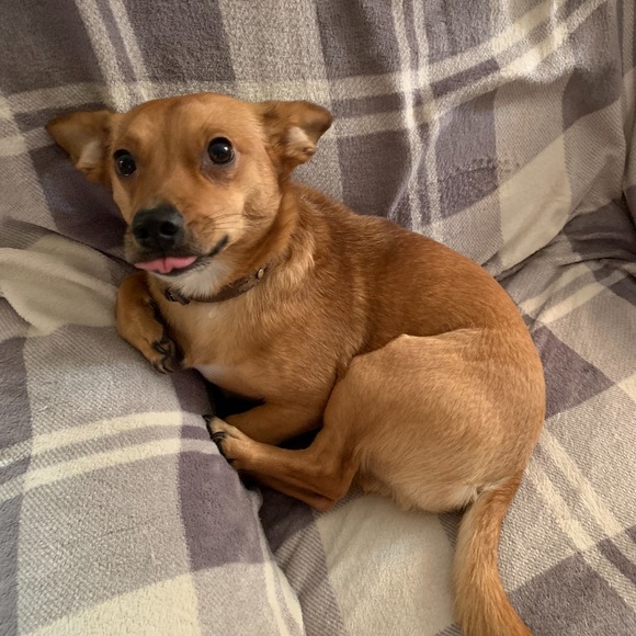 Profile Picture of Jerry Weber (@jweberj) on Poshmark