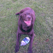 Profile Picture of Stephen Harris (@stephenharris5803) on Youtube