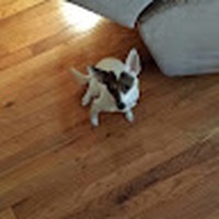 Profile Picture of Eric Pommer (@eric-pommer-4) on Quora