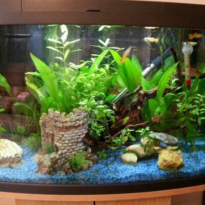 Profile Picture of Doug Humphrey (@dougieeaitch) on Twitter