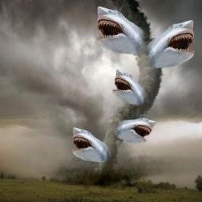 Profile Picture of Steve Rogowski (@Steve_Rogo) on Twitter