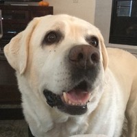 Profile Picture of Ruby Rubio (@ruby-rubio-12) on Quora