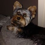 Profile Picture of nicholas connolly (@connellynick373) on Instagram