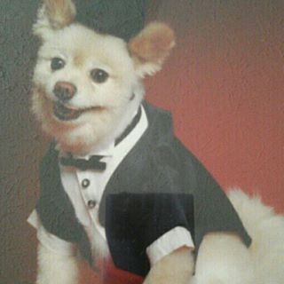 Profile Picture of Michael Sylve (@michael.sylve.58) on Facebook