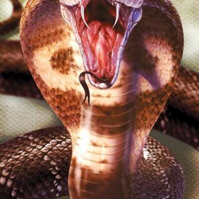Profile Picture of Tony Rincon (@AnthonyRincon2) on Twitter