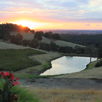 Profile Picture of Lim HongWeiDion (@LimHongWeiDion) on Twitter