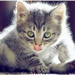 Profile Picture of Ariadna Morales (@ariadna.morales.7528) on Instagram