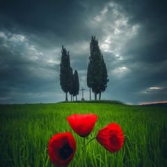 Profile Picture of Mahamd Ben Daw (@DawMahamd) on Twitter