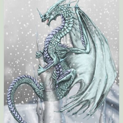 Profile Picture of Charlotte Concannonon Twitter