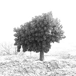 Profile Picture of Ken Yang (@munch_munch_munch) on Flickr