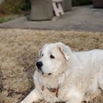 Profile Picture of doug.w.dupont@gmail.com (@doug.w.dupontgmail.com1) on Instagram