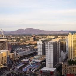 Profile Picture of Michael Melfi (@MelifMichael) on Twitter