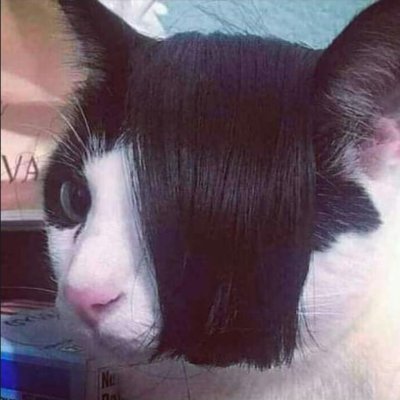 Profile Picture of Genesis Moya Chanco (@chanco_moya) on Twitter